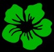 Green Team